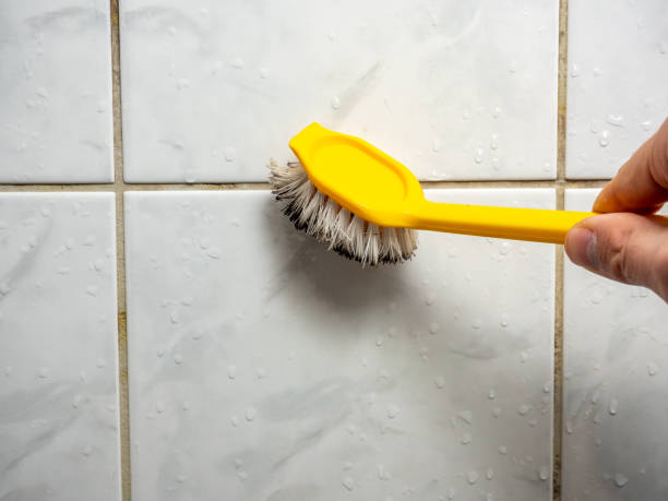 Best Mold Removal Company Near Me  in Huron, OH