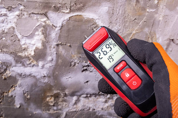Best Mold Testing  in Huron, OH