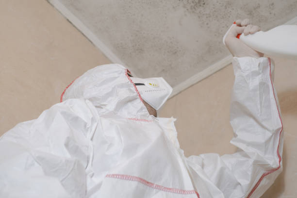 Best Attic Mold Removal  in Huron, OH